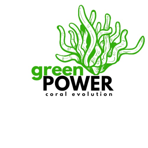 BOOSTER SPIRULINA ALTA DENSITA'