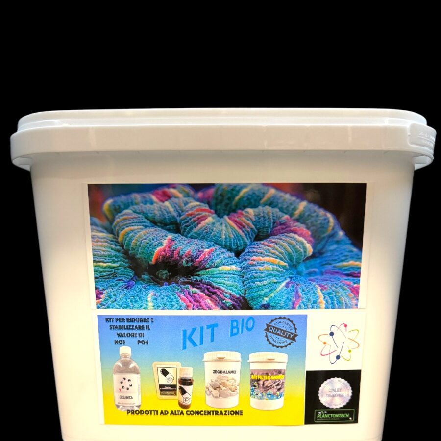 (001) KIT BIO