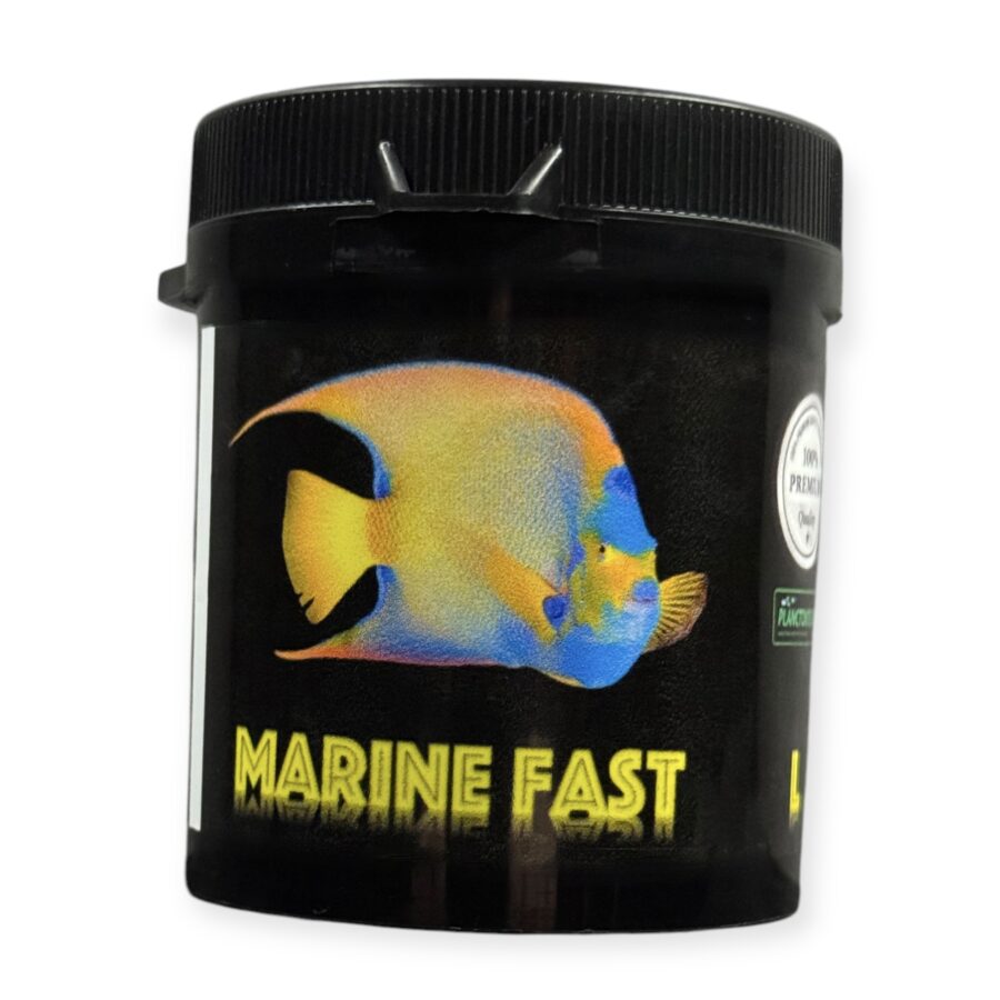 13 MARIN FAST L