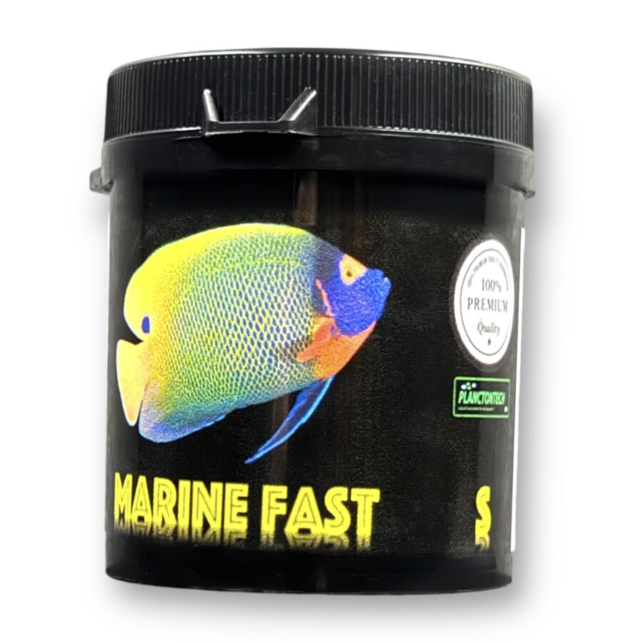 12 MARIN FAST S