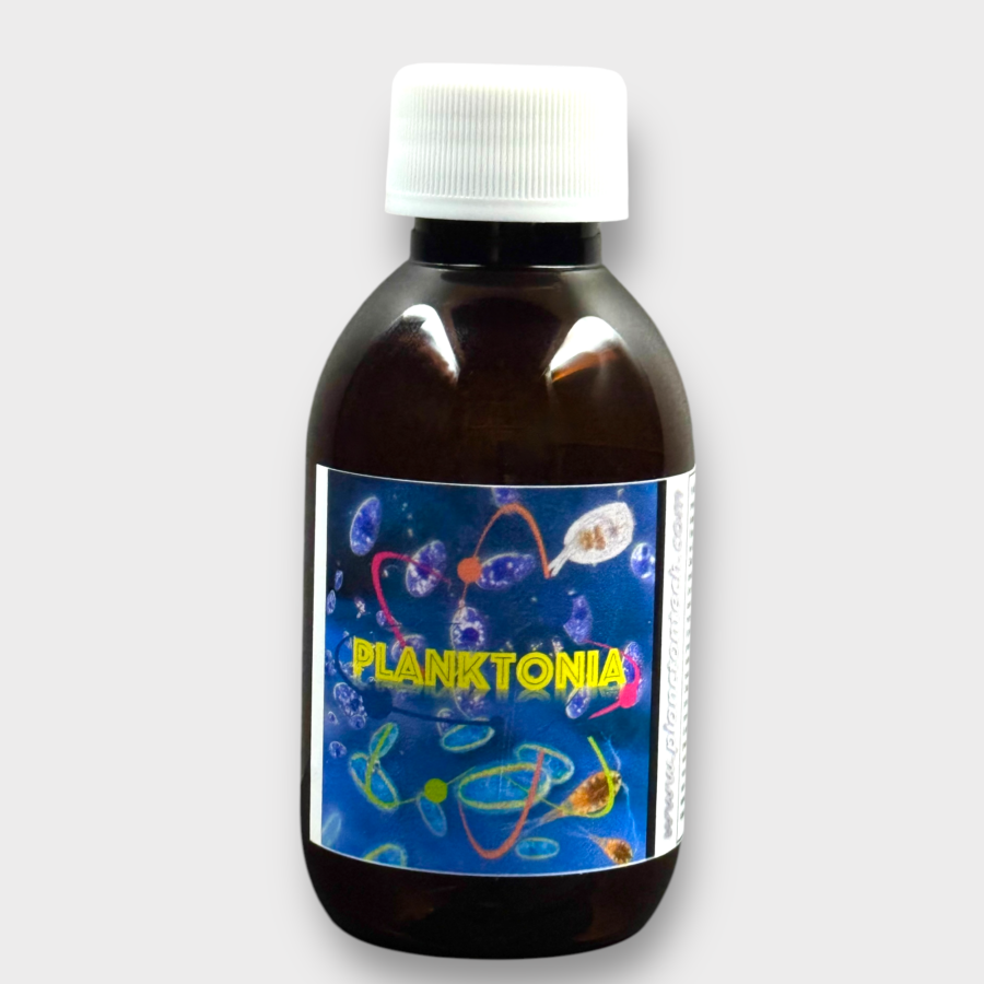 1 AZ PLANKTONIA 1000 ml