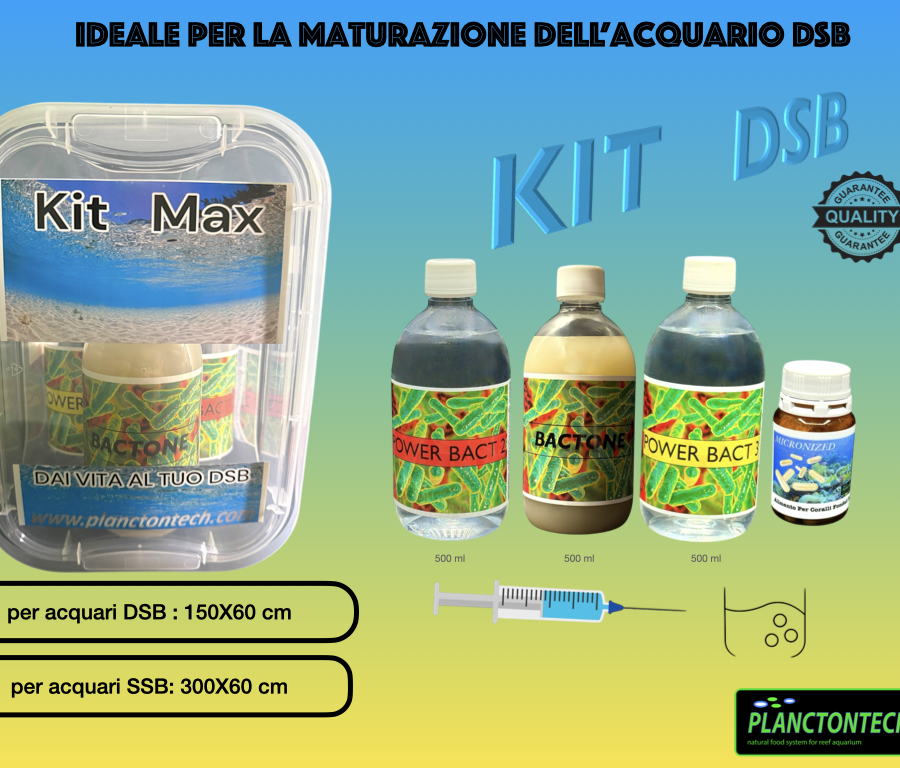 (004) KIT DSB