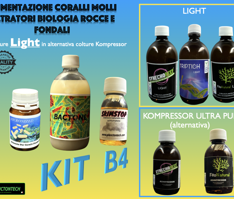 (005) KIT B4
