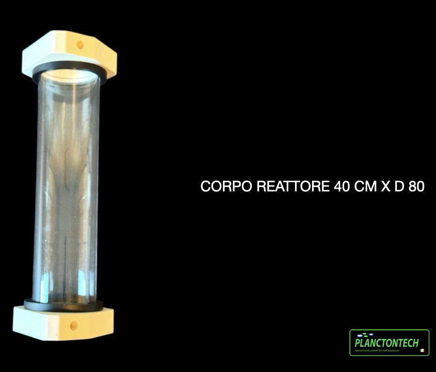 CR40