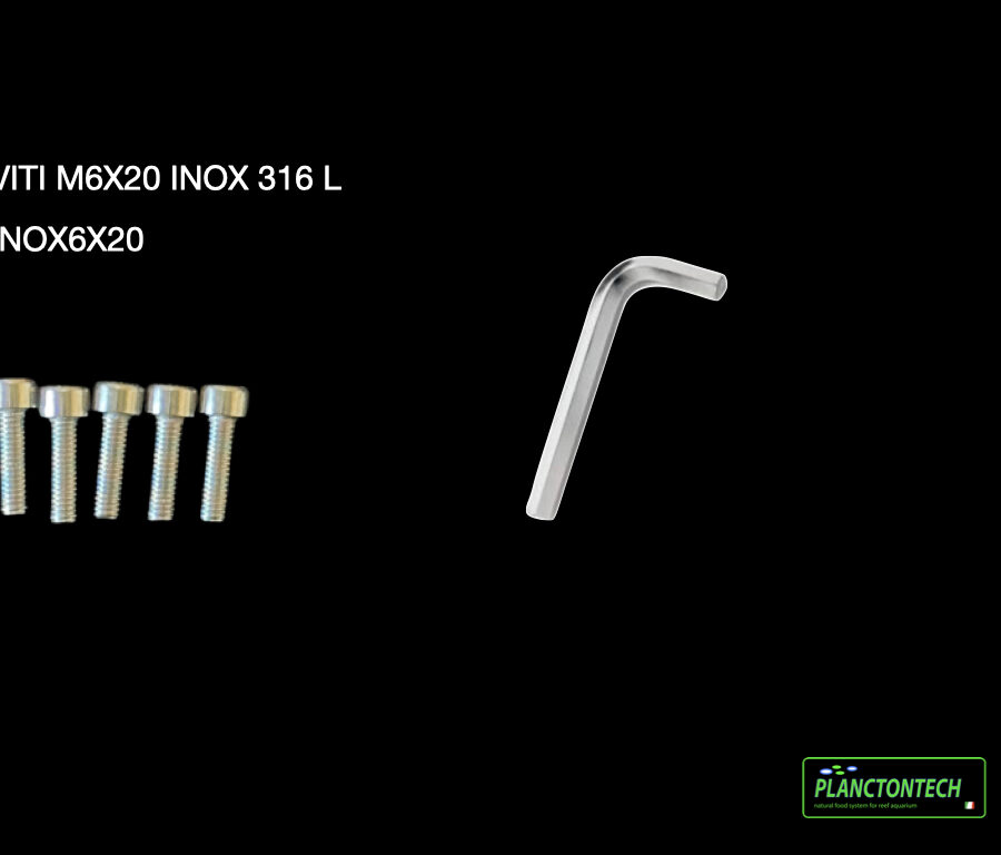 INOX6-20