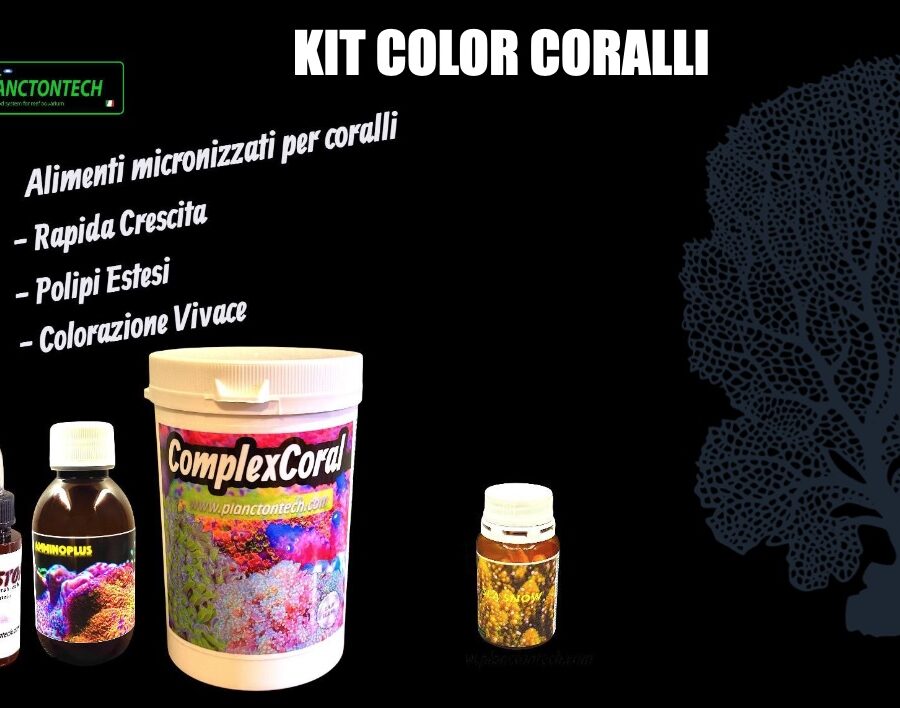 KIT COLOR PROMO