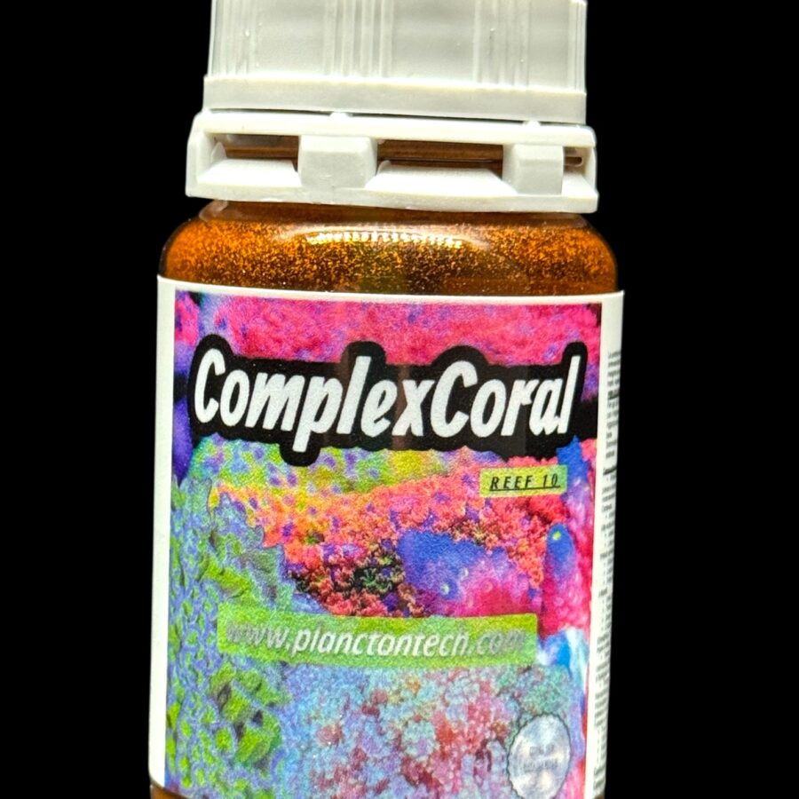 REEF 10 Complex  Coral