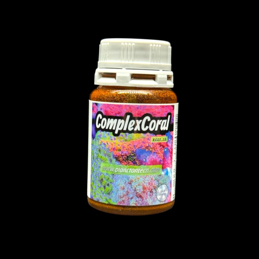 REEF 10 Complex  Coral
