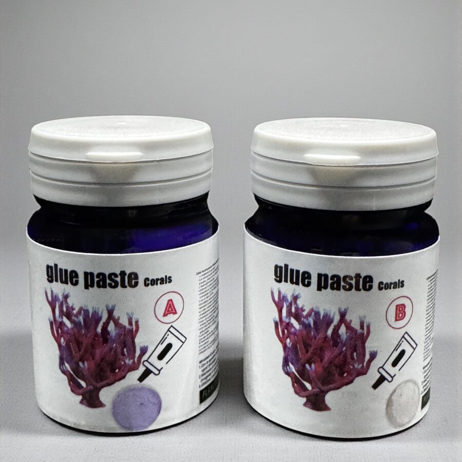 GLUE PASTE corals
